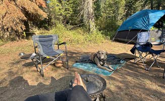 ChiAnn M.'s photo of camping with pets at Liberty Town / Williams Creek Dispersed Camping near Wenatchee, WA