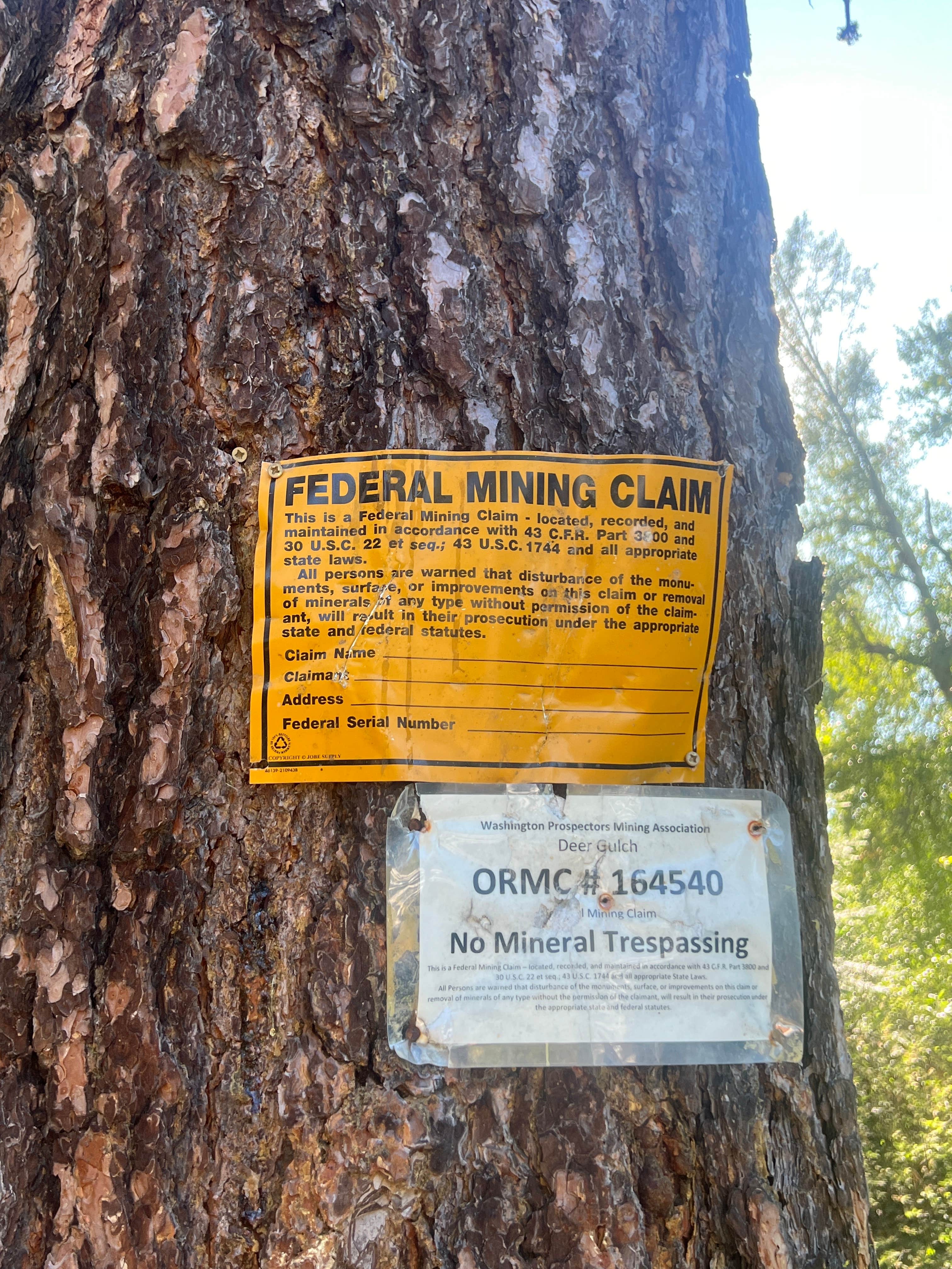 Camper-submitted photo at Liberty Town / Williams Creek Dispersed Camping near Thorp, WA