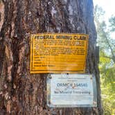Review photo of Liberty Town / Williams Creek Dispersed Camping by Paige P., July 15, 2025