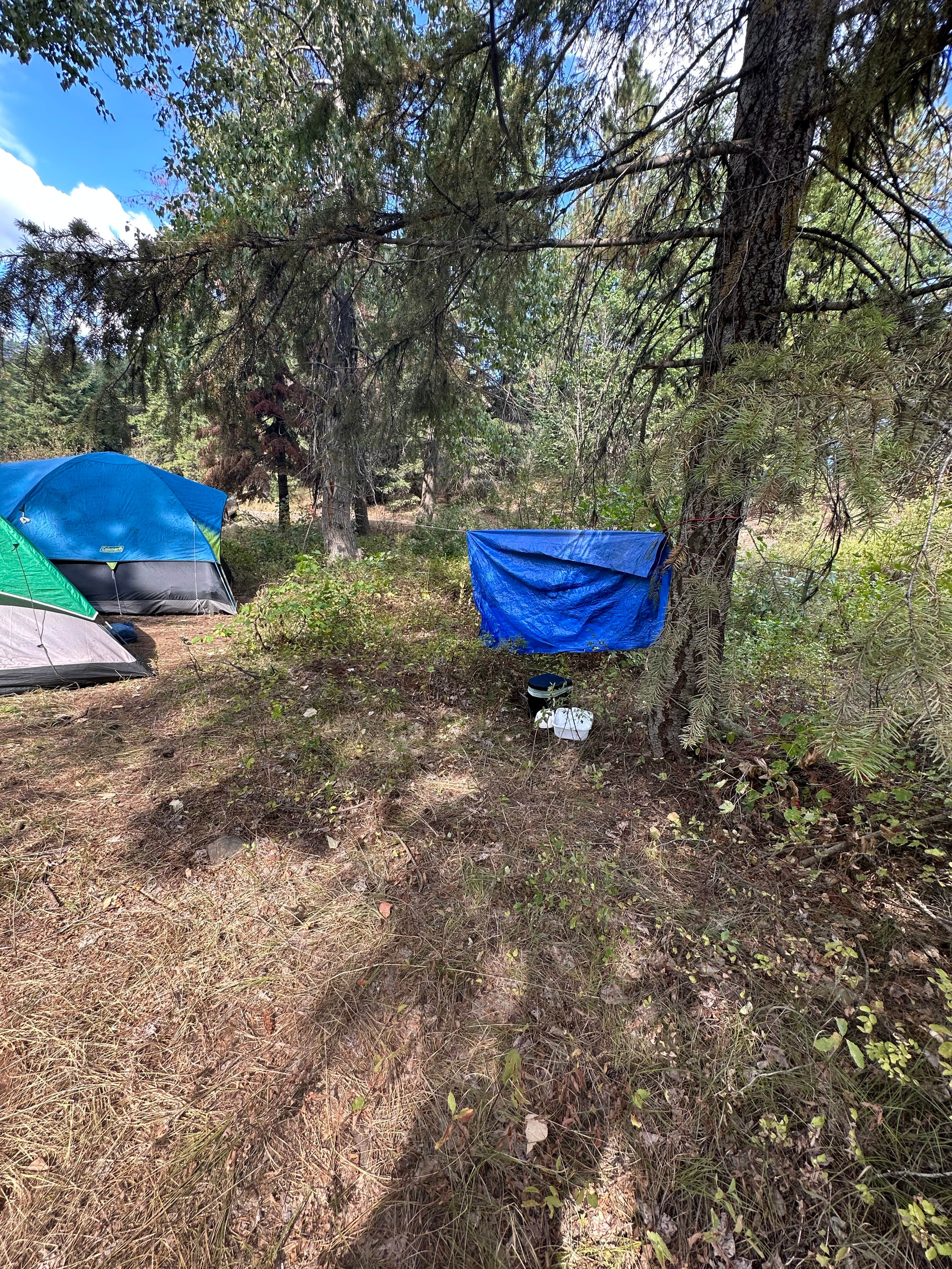 Camper-submitted photo at Liberty Town / Williams Creek Dispersed Camping near Ellensburg, WA