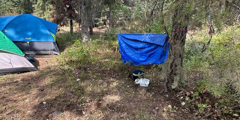 Camper submitted image from Liberty Town / Williams Creek Dispersed Camping