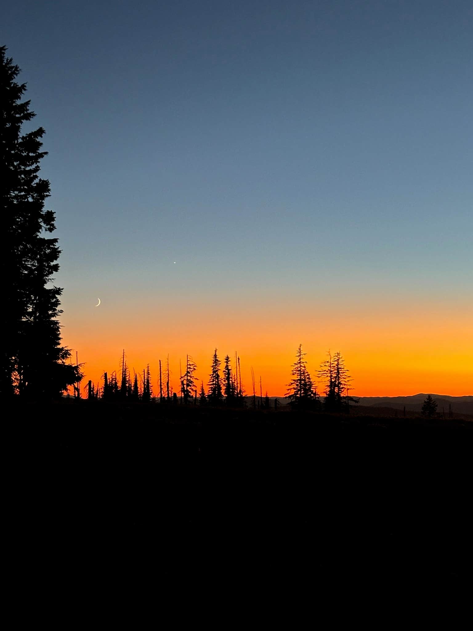 Camping near Scott Creek: Lightning Springs Backcountry Dispersed Campsite, Crater Lake, Oregon