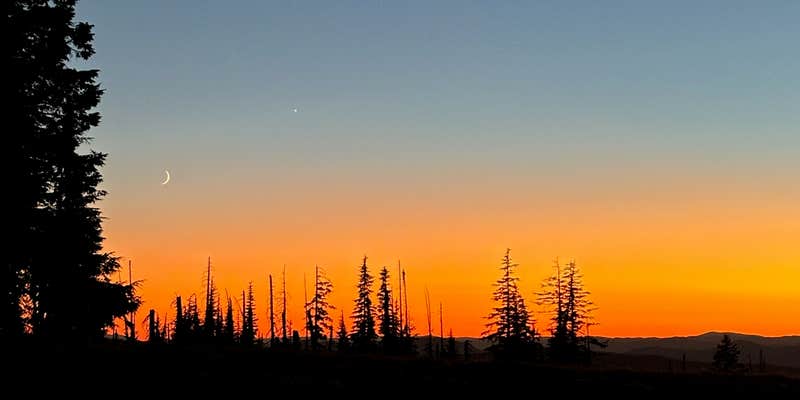 Camper submitted image from Lightning Springs Backcountry Dispersed Campsite
