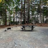 Review photo of Dunn Point Campground — Lily Bay State Park by Meghan B., September 17, 2024