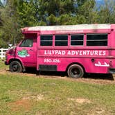Review photo of Lilypad Adventures  by Tim B., June 8, 2024