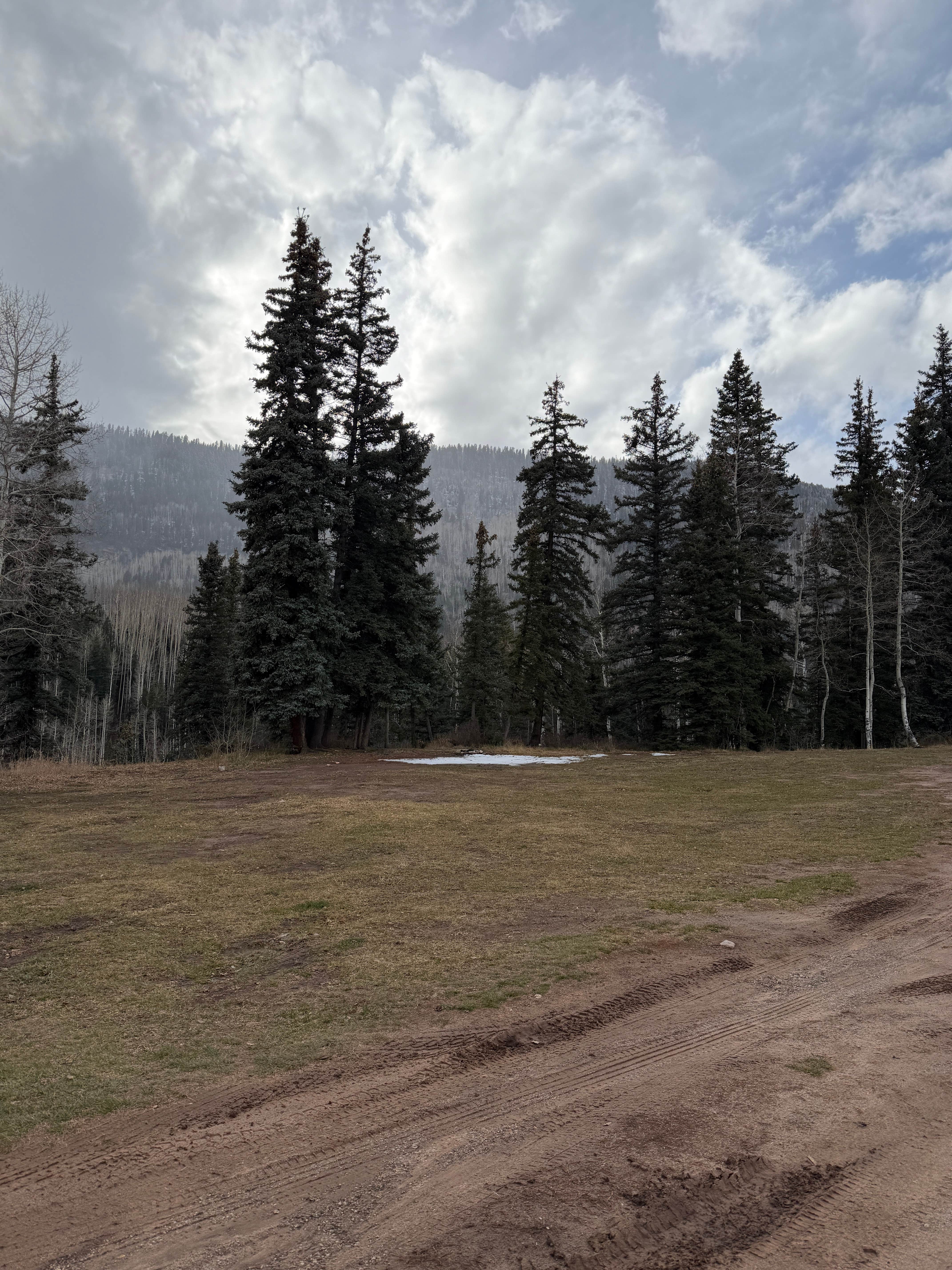 Camping near Missionary Ridge Road: Lime Creek - Dispersed Sites, Cascade, Colorado