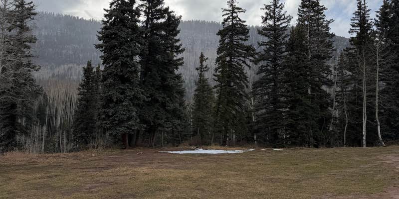 Camper submitted image from Lime Creek - Dispersed Sites