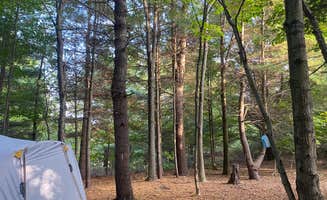 Jade M.'s photo at Lime Lake near Sleeping Bear Dunes