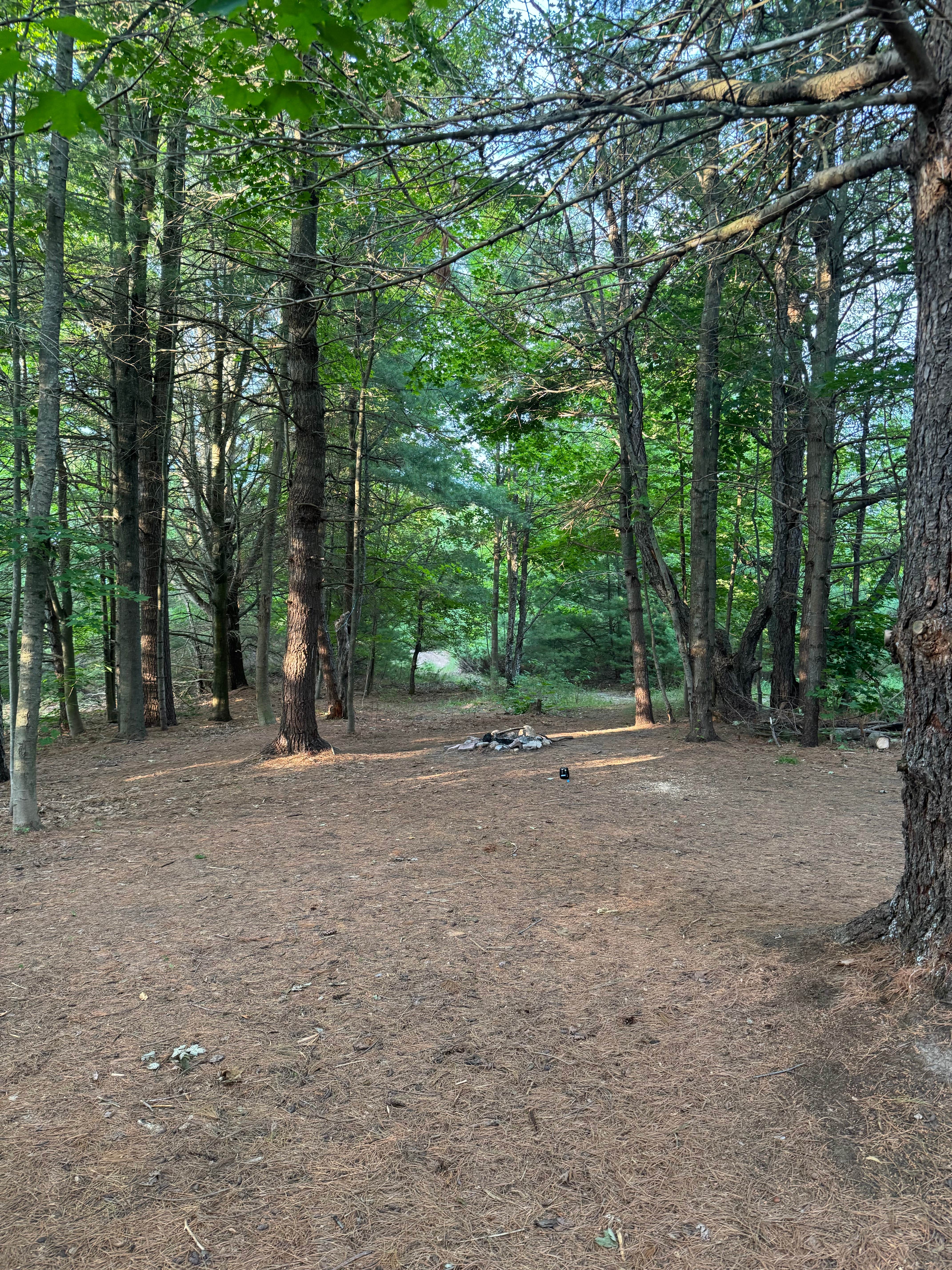 Camper-submitted photo at Lime Lake near Maple City, MI