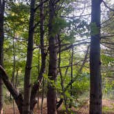 Review photo of Lime Lake by Jade M., September 22, 2025