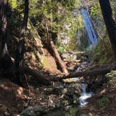 Review photo of Limekiln State Park Campground by Evan R., April 5, 2026