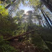 Review photo of Limekiln State Park Campground by Evan R., April 5, 2026