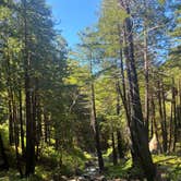 Review photo of Limekiln State Park Campground by Evan R., April 5, 2026