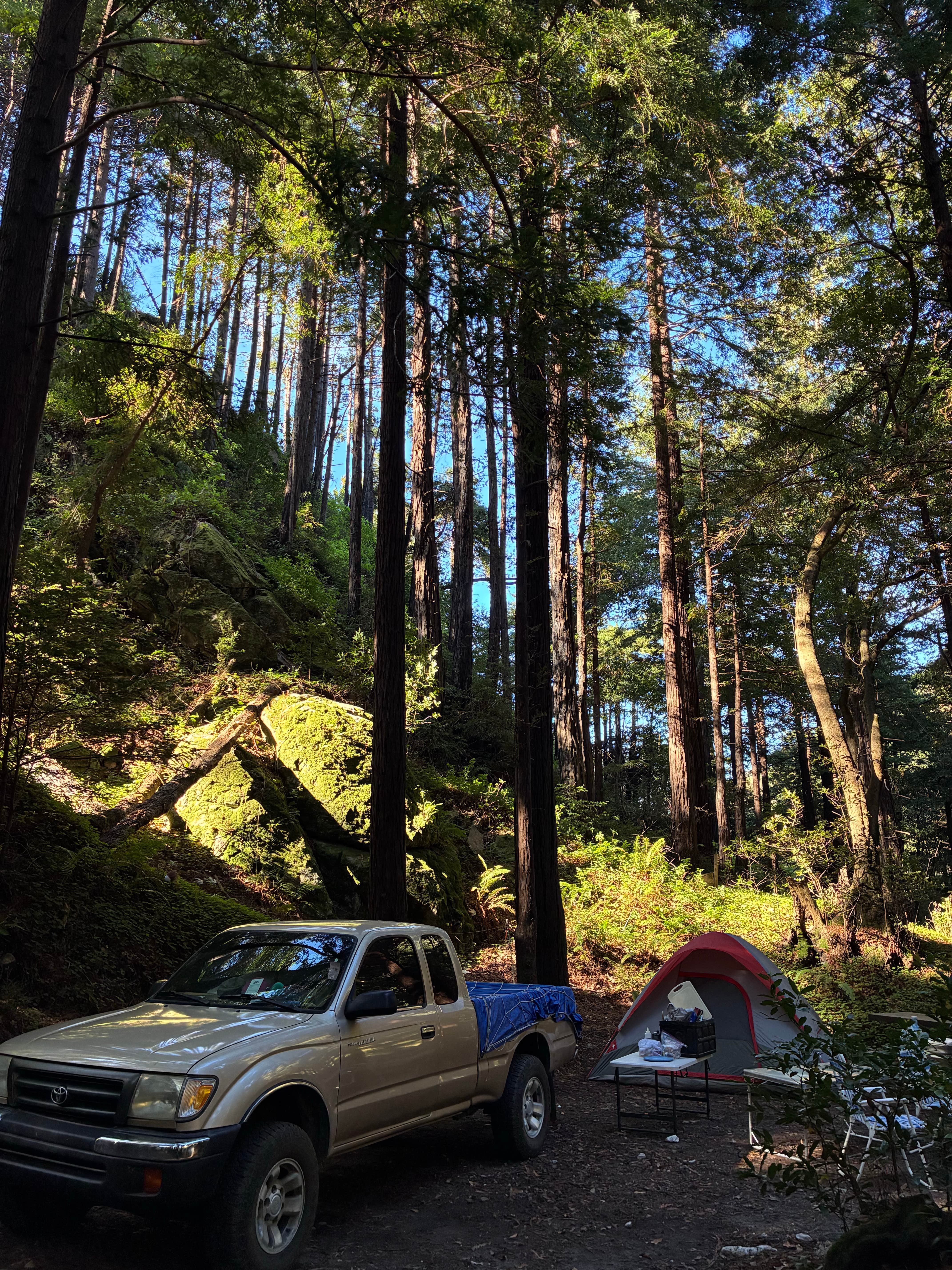 Evan R.'s photo of tent camping at Limekiln State Park Campground near Soledad, CA