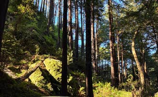 Evan R.'s photo of tent camping at Limekiln State Park Campground near Soledad, CA