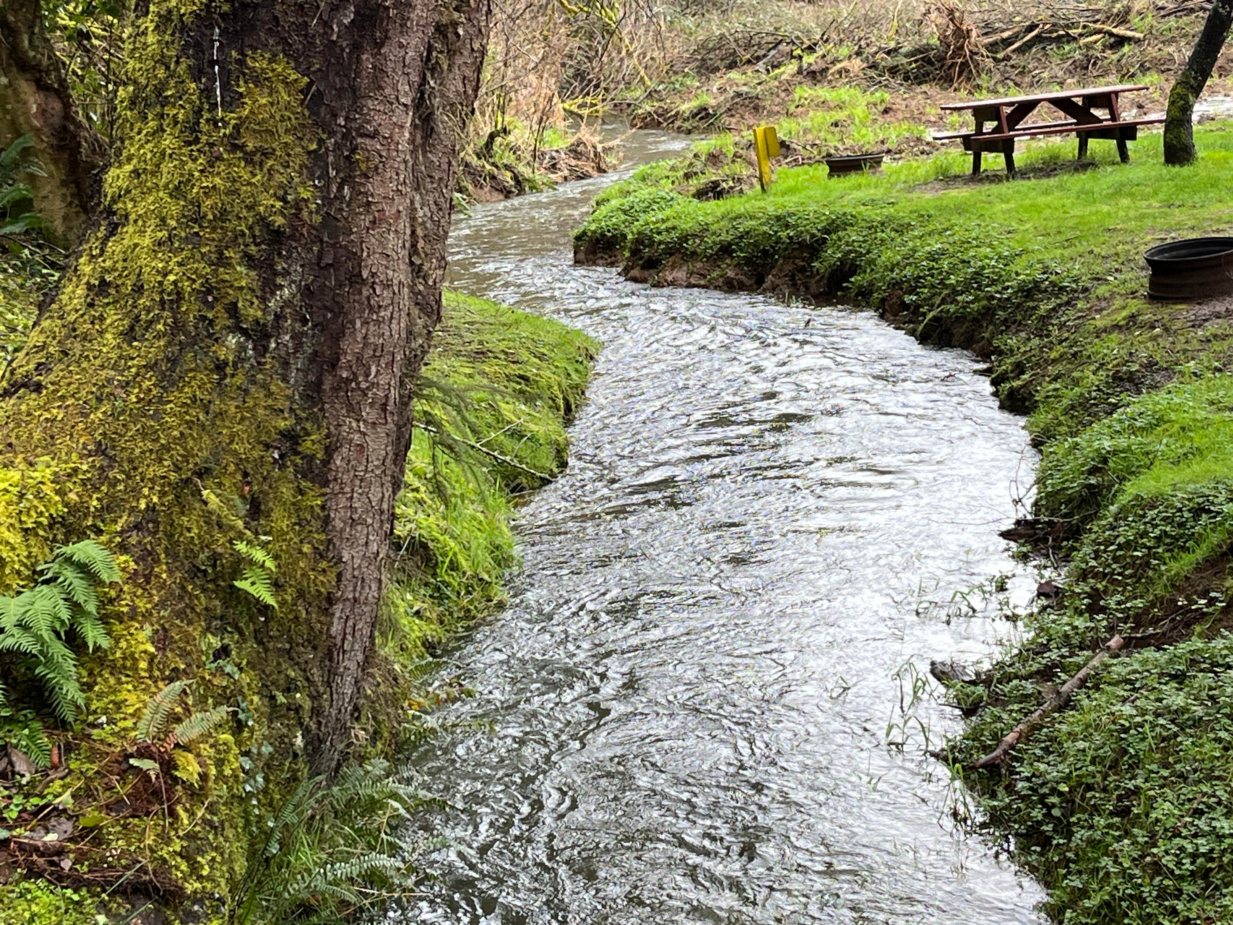 Camper-submitted photo at Lincoln City KOA near Rickreall, OR