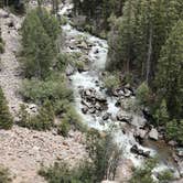 Review photo of Lincoln Creek Dispersed by Alicia O., July 8, 2025