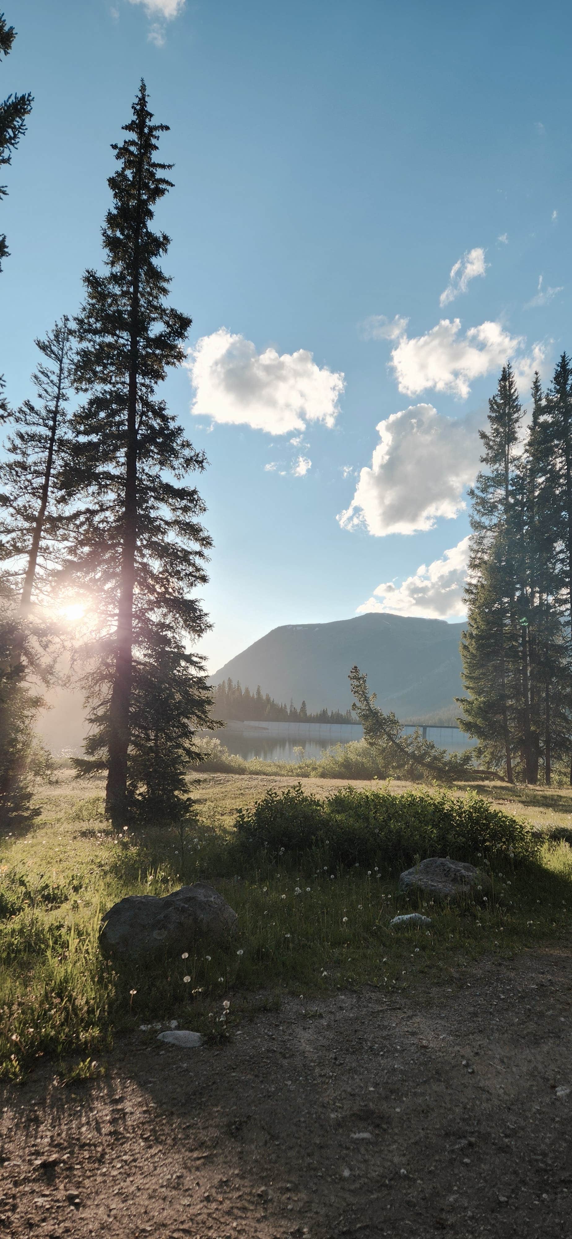 Alicia O.'s photo of a dispersed camping area at Lincoln Creek Dispersed near Snowmass Village, CO