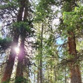Review photo of Lincoln Creek Dispersed by Alicia O., July 8, 2025