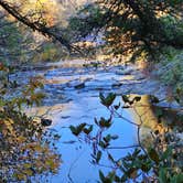 Review photo of Linville Gorge Wilderness Dispersed Camping--Western Section, NC 128 he by Brian G., April 23, 2025