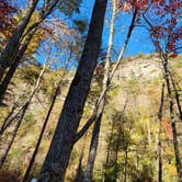 Review photo of Linville Gorge Wilderness Dispersed Camping--Western Section, NC 128 he by Brian G., April 23, 2025