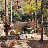 Review photo of Linville Gorge Wilderness Dispersed Camping--Western Section, NC 128 he by Brian G., April 23, 2025