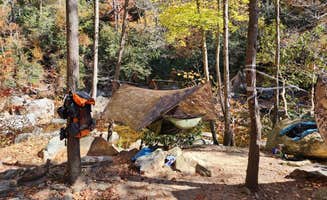 Brian G.'s photo of a dispersed camping area at Linville Gorge Wilderness Dispersed Camping--Western Section, NC 128 he near Butler, TN