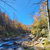 Review photo of Linville Gorge Wilderness Dispersed Camping--Western Section, NC 128 he by Brian G., April 23, 2025