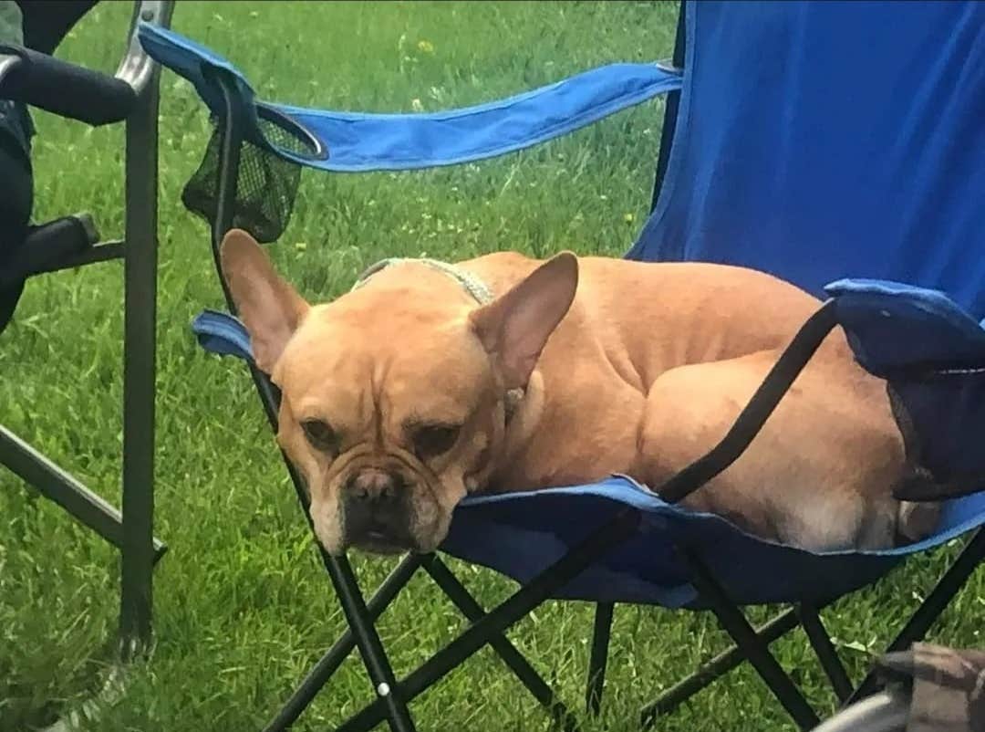 Tori K.'s photo of camping with pets at Linwood Resort & Campgrounds near Melrose, MN