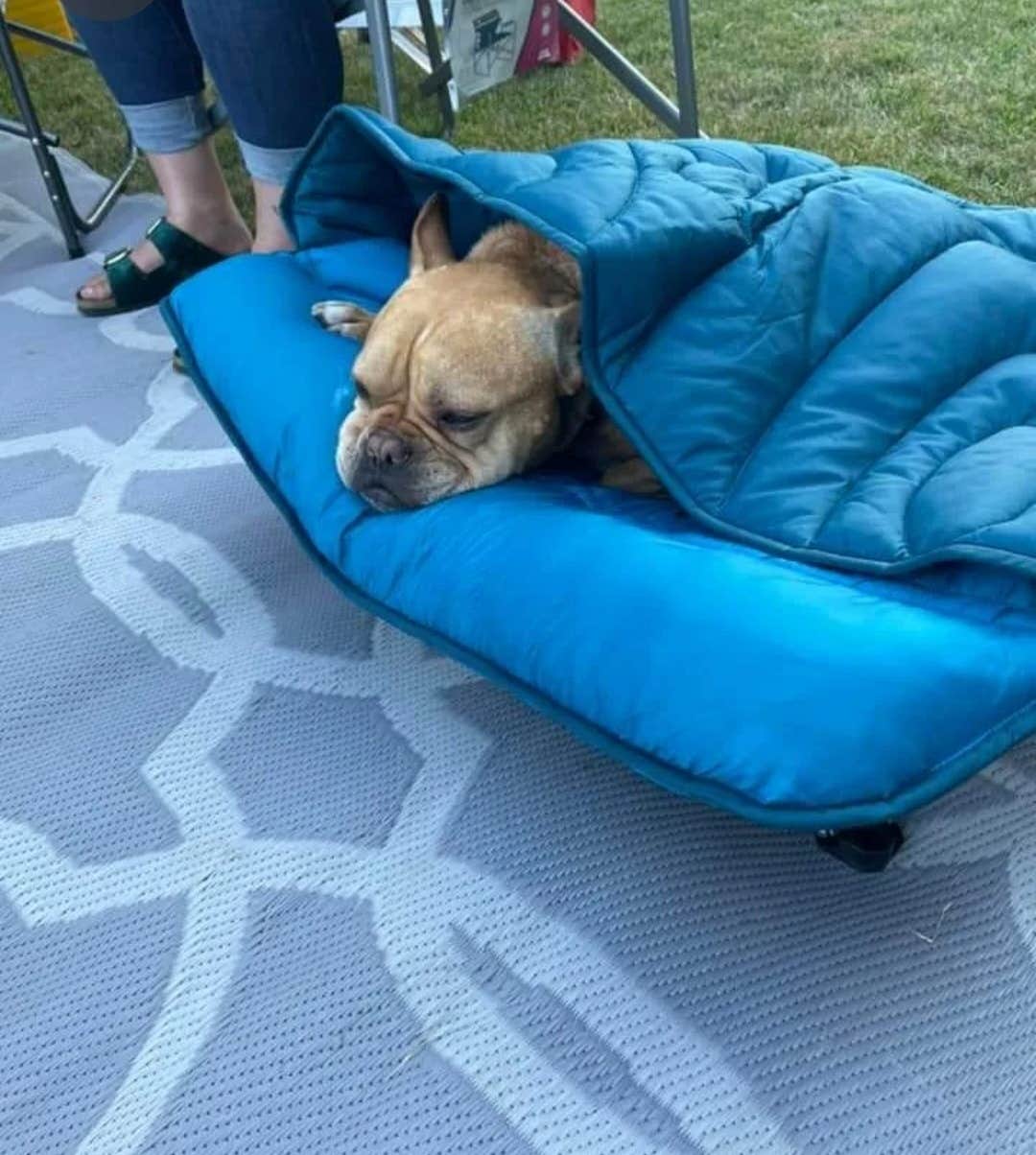 Camper-submitted photo at Linwood Resort & Campgrounds near Melrose, MN