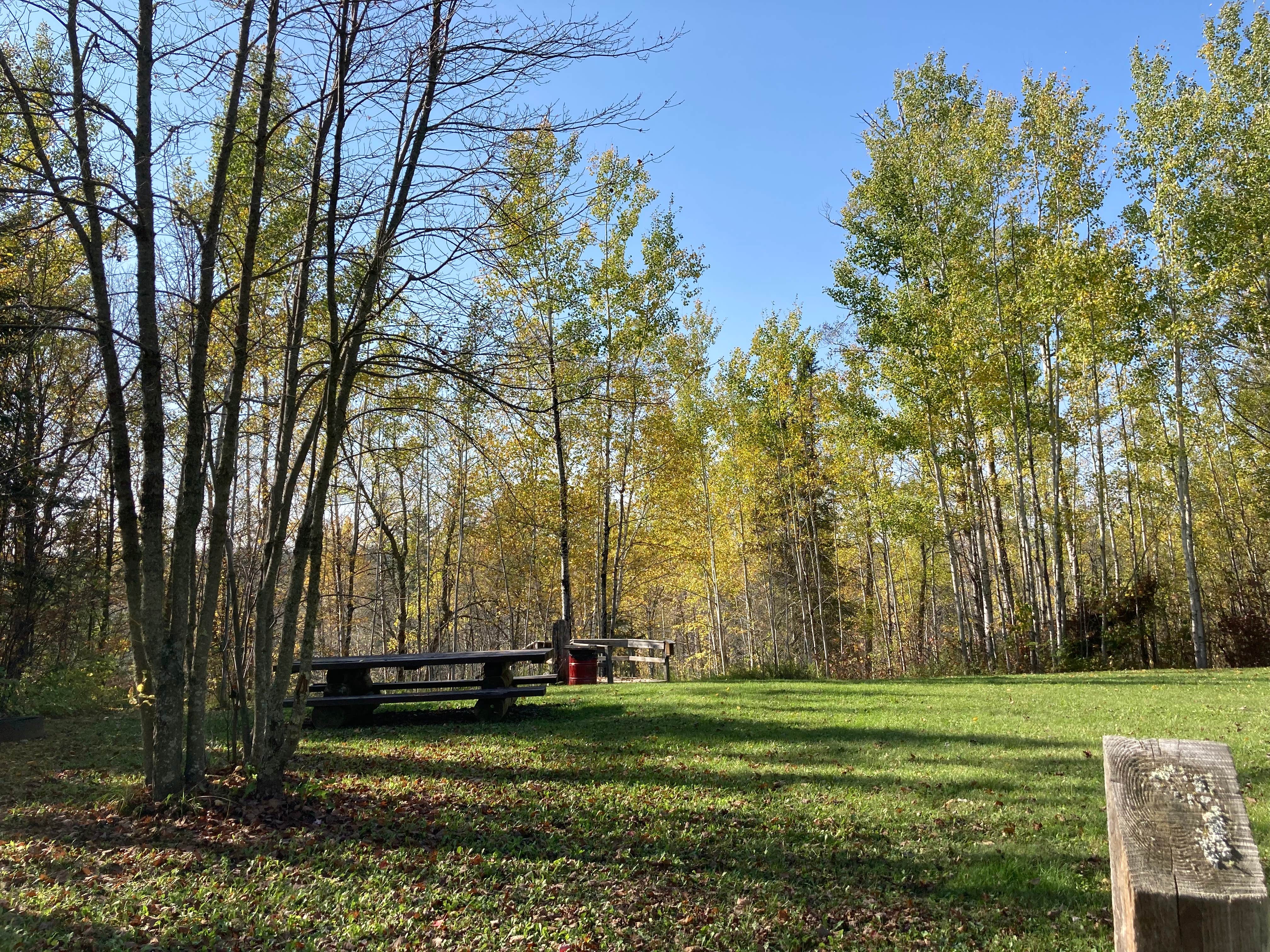 Camper-submitted photo at Little American Falls County Park and Campground near Bigfork, MN