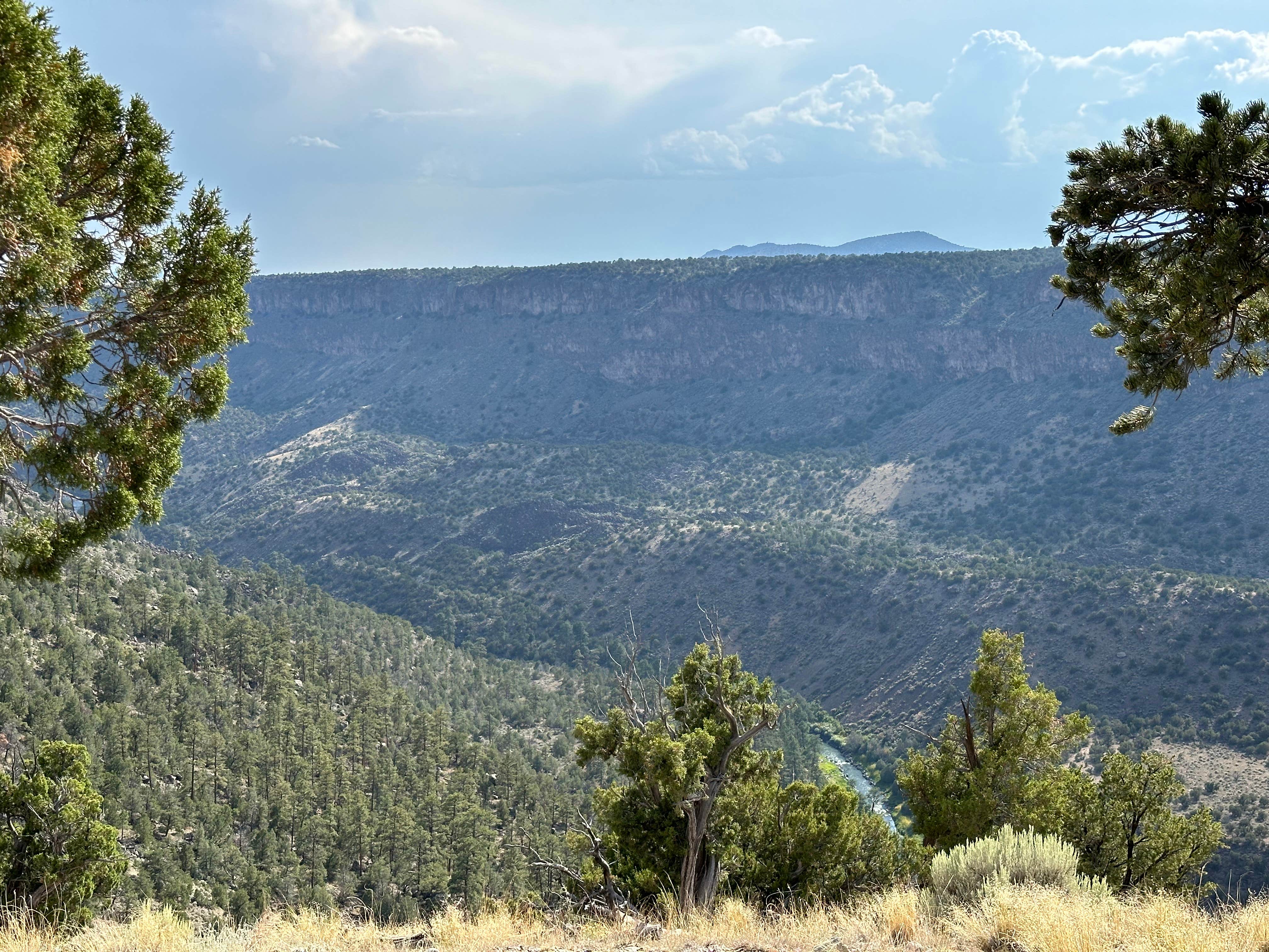 Camper submitted image from Little Arsenic Springs Campground - 2