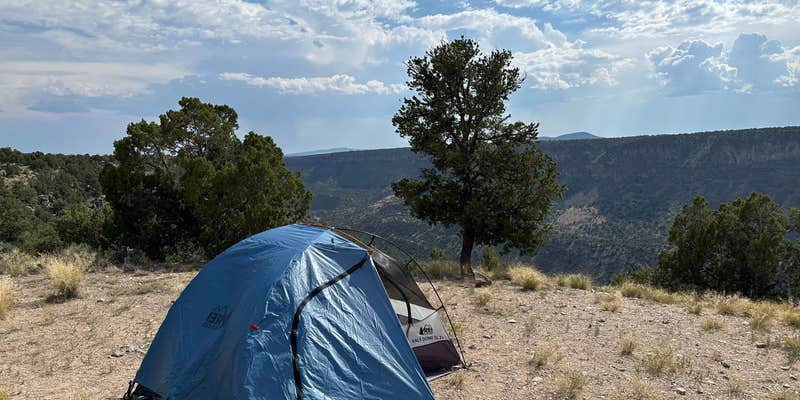 Camper submitted image from Little Arsenic Springs Campground
