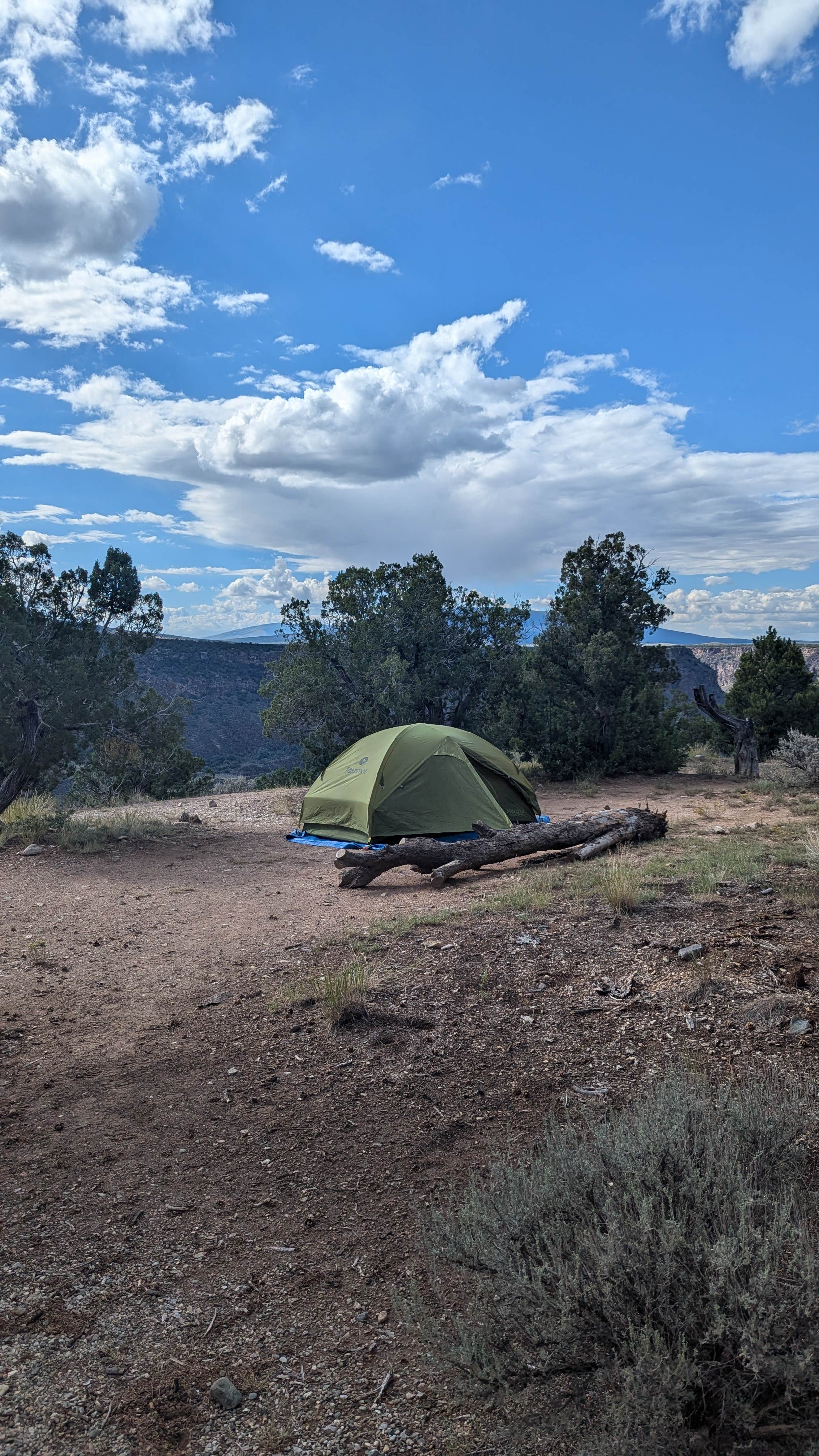 Camping near Montoso Campground: Little Arsenic Springs Campground, Questa, New Mexico