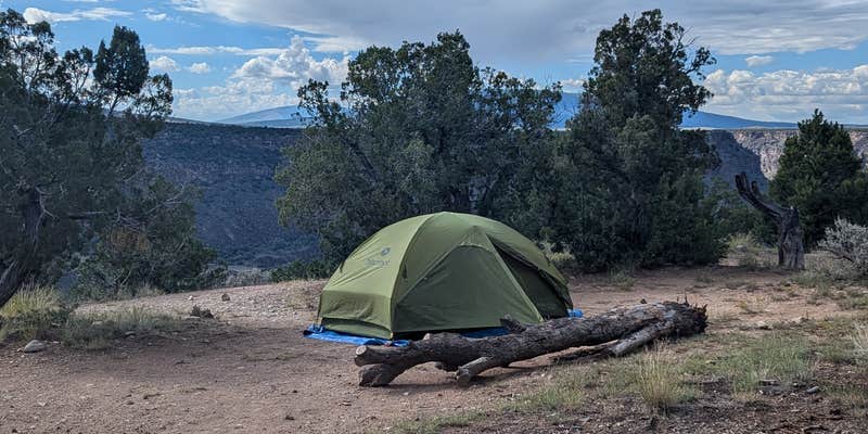 Camper submitted image from Little Arsenic Springs Campground