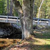 Review photo of Little Beaver State Park Campground by Ioan P., October 7, 2024