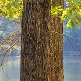 Review photo of Little Beaver State Park Campground by Ioan P., October 7, 2024