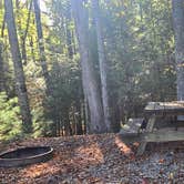 Review photo of Little Beaver State Park Campground by Ioan P., October 7, 2024