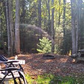 Review photo of Little Beaver State Park Campground by Ioan P., October 7, 2024