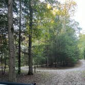 Review photo of Little Beaver State Park Campground by Heather E., October 6, 2024