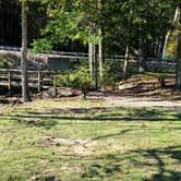 Review photo of Little Beaver State Park Campground by Ioan P., October 7, 2024