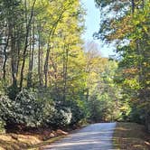 Review photo of Little Beaver State Park Campground by Ioan P., October 7, 2024