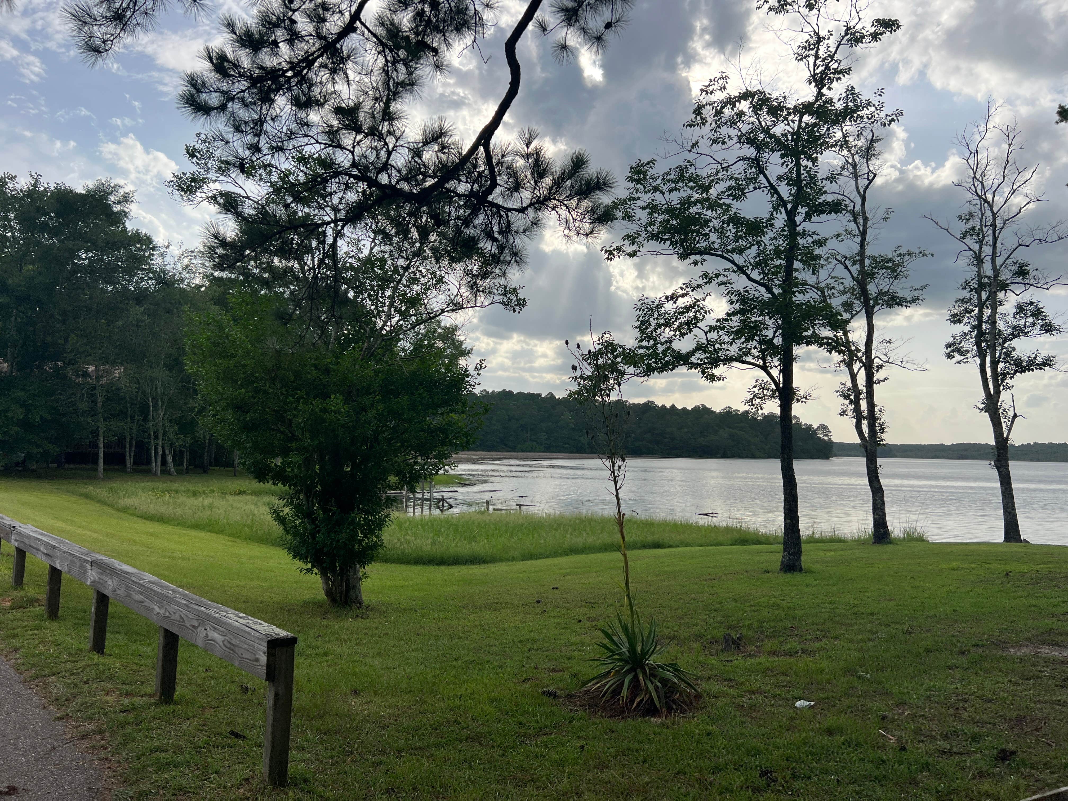 Randi P.'s photo of camping with pets at Little Black Creek Campground & Park near Foxworth, MS