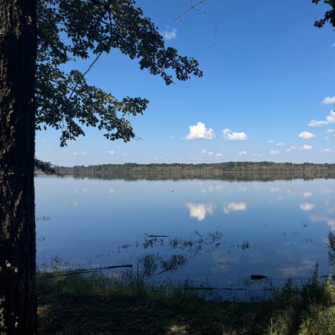 Little Black Creek Campground & Park Purvis, Mississippi