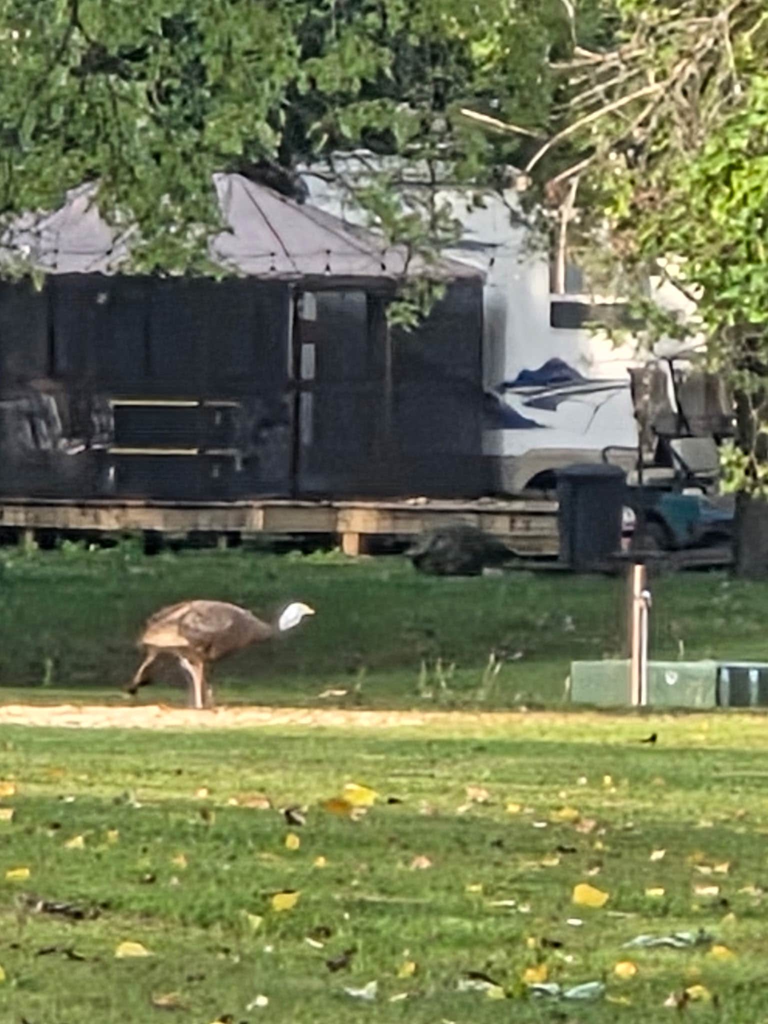 Camper-submitted photo at Sleepy Dragon Campground near Waupun, WI