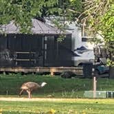 Review photo of Sleepy Dragon Campground by Patti M., October 11, 2025