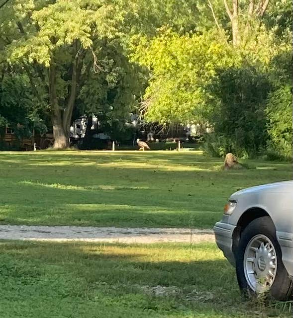 Camper-submitted photo at Sleepy Dragon Campground near Waupun, WI