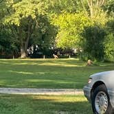 Review photo of Sleepy Dragon Campground by Patti M., October 11, 2025