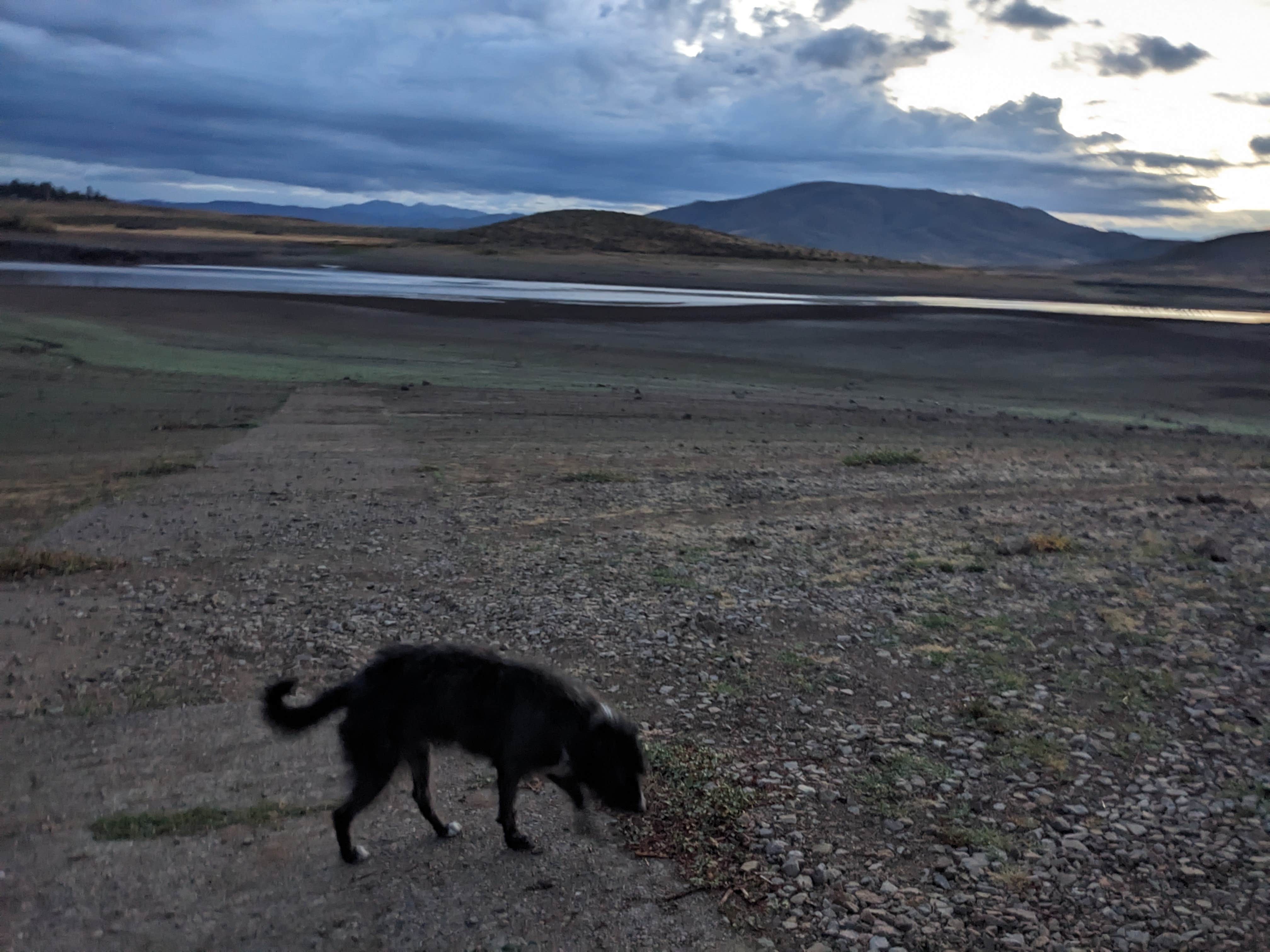 Corinne H.'s photo of camping with pets at Little Camas Reservoir near Fairfield, ID
