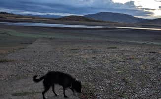 Corinne H.'s photo of camping with pets at Little Camas Reservoir near Bliss, ID